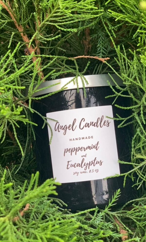 Soy wax candle (Eucalyptus and mint aroma)