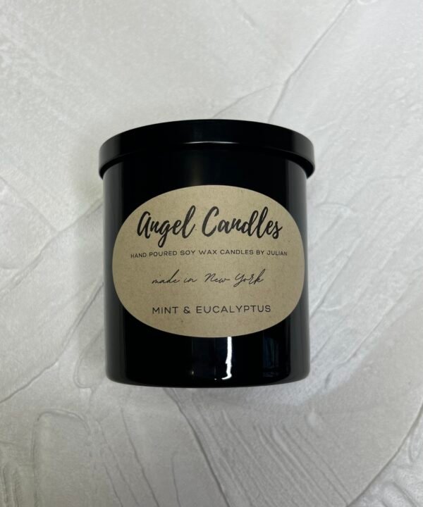 Soy wax candle ( Mint and Eucalyptus  aroma)